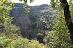 IMG 1139 (Copy)
