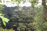 IMG 1140 (Copy)