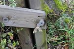 IMG 1142 (Copy)