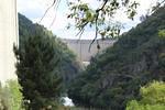 IMG 1148 (Copy)