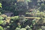 IMG 1153 (Copy)