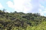 IMG 1154 (Copy)