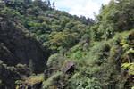 IMG 1155 (Copy)