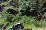 IMG 1156 (Copy)