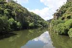 IMG 1160 (Copy)