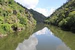IMG 1161 (Copy)