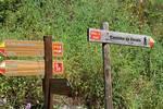 IMG 1162 (Copy)