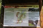 IMG 1163 (Copy)