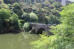 IMG 1166 (Copy)