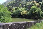 IMG 1167 (Copy)