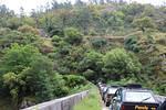 IMG 1168 (Copy)