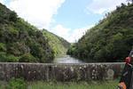 IMG 1169 (Copy)