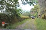 IMG 1171 (Copy)