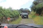IMG 1172 (Copy)
