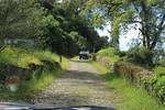 IMG 1173 (Copy)