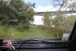 IMG 1175 (Copy)