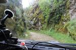 IMG 1176 (Copy)