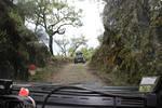 IMG 1177 (Copy)