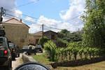 IMG 1180 (Copy)