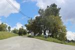IMG 1184 (Copy)