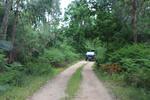 IMG 1187 (Copy)