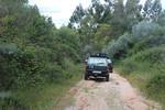 IMG 1189 (Copy)