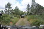 IMG 1200 (Copy)