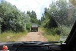 IMG 1201 (Copy)
