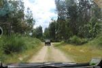 IMG 1202 (Copy)