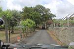 IMG 1203 (Copy)