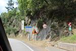 IMG 1209 (Copy)
