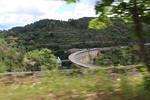 IMG 1211 (Copy)