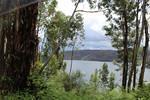 IMG 1215 (Copy)