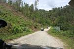 IMG 1216 (Copy)