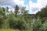 IMG 1217 (Copy)