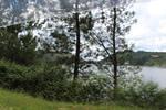 IMG 1219 (Copy)