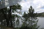IMG 1220 (Copy)