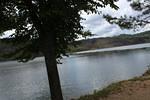 IMG 1224 (Copy)