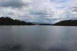 IMG 1229 (Copy)