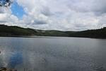 IMG 1230 (Copy)