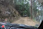 IMG 1236 (Copy)
