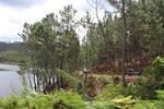IMG 1239 (Copy)