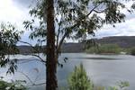 IMG 1240 (Copy)