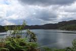 IMG 1241 (Copy)