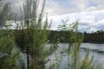IMG 1243 (Copy)
