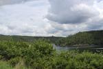 IMG 1244 (Copy)