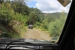 IMG 1249 (Copy)