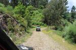 IMG 1250 (Copy)