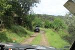 IMG 1253 (Copy)