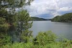 IMG 1254 (Copy)